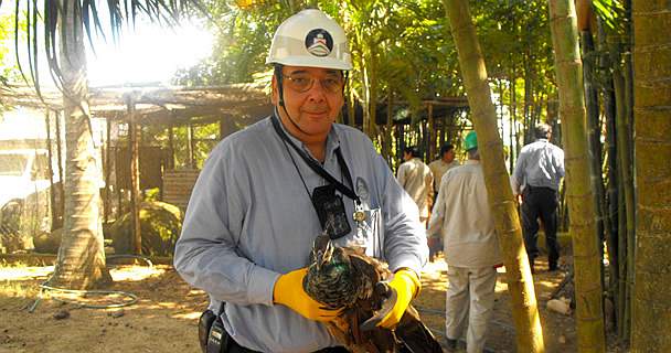 El Parque del Bicentenario continúa albergando especies en peligro