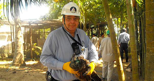 El Parque del Bicentenario continúa albergando especies en peligro