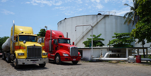 Exportación de melaza logra record histórico