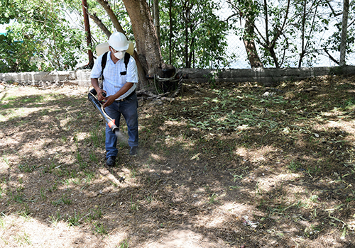 Fauna silvestre del paseo ribereño recibe tratamiento especializado